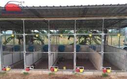hướng dẫn sử dụng mô hình chuồng gà đá