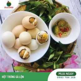 hướng dẫn sử dụng một hồ đá gà bao nhiêu phút