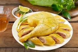 hướng dẫn sử dụng mua da gà hà nội