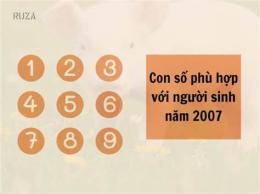hướng dẫn sử dụng ngày đinh hợi đá gà gì