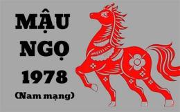 hướng dẫn sử dụng ngày mậu ngọ đá gà gì