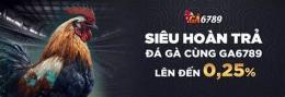 hướng dẫn sử dụng nhà cái đá gà uy tín top 12