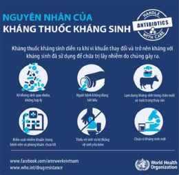 hướng dẫn sử dụng nhân sinh nếu như lần đầu gặp gỡ