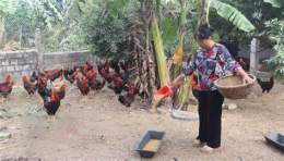 hướng dẫn sử dụng nuoi ga da lam giau