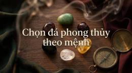 hướng dẫn sử dụng phong thủy ngày gà đá