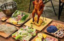 hướng dẫn sử dụng quán gà bay pallet đà lạt