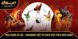 hướng dẫn sử dụng sabong67 da ga