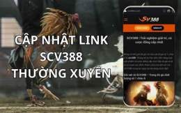 hướng dẫn sử dụng scv388 da ga truc tiep