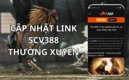hướng dẫn sử dụng scv388 da ga viet