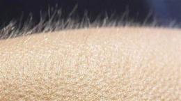 hướng dẫn sử dụng sởn da gà tiếng anh