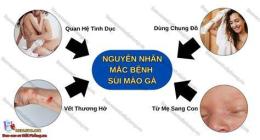 hướng dẫn sử dụng sui mao ga benh vien da