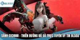 hướng dẫn sử dụng sv3888 đá gà