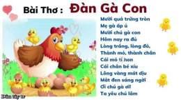 hướng dẫn sử dụng thơ về đá gà