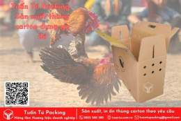 hướng dẫn sử dụng thùng nhựa đựng gà đá