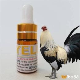 hướng dẫn sử dụng thuốc nhỏ gà đá của mỹ