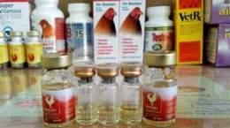 hướng dẫn sử dụng thuoc nuoi ga da hieu qua nhat