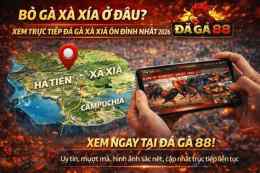hướng dẫn sử dụng truc tiep đá gà xà xía