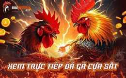 hướng dẫn sử dụng truc tiep ga da c1
