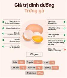 hướng dẫn sử dụng trứng gà đông đá