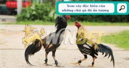 hướng dẫn sử dụng vay ga da xau