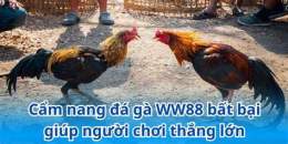 hướng dẫn sử dụng ww88 đá gà trực tiếp