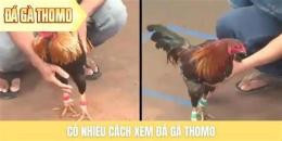 hướng dẫn sử dụng xem da ga tb