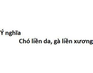hướng dẫn sử dụng ý nghĩa câu chó liền da gà liền xương