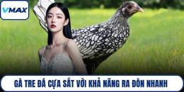 hướng dẫn sử dụng youtube ga tre da cua sat