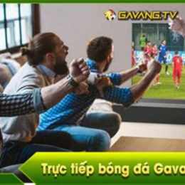 kênh bóng đá gà vàng tivi