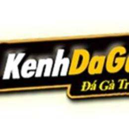 kênh đá gà 88.com
