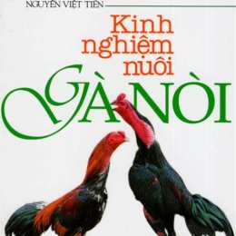 kinh nghiệm chọn gà nòi đá