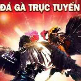 kinh nghiem da ga tren mang
