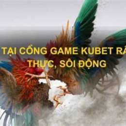 kubet có đá gà không