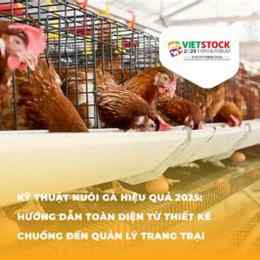 kỷ thuật nuôi gà đá