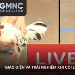 live da ga tv