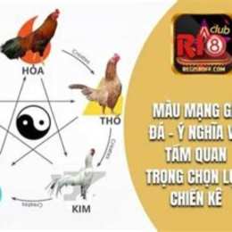 mau mang ga da cua sat 2015