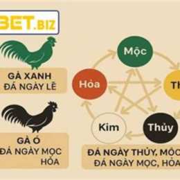 màu mạng gà đá theo ngày noc88top.com