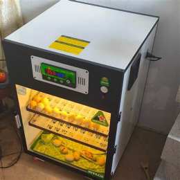 máy ấp trứng gà tại đà nẵng
