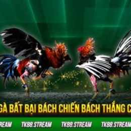 mẹo đá gà thomo