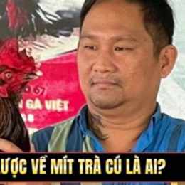 mit tra cu da ga