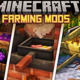 mod minecraft đa gà
