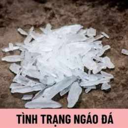 ngáo đá gạ chịch bạn thân
