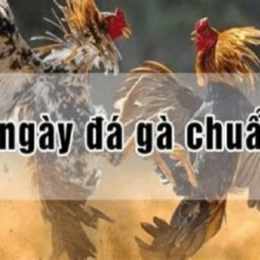 ngày sửu đá gà gì