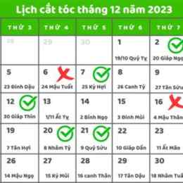 ngũ hành xem ngày tốt để đi đá gà