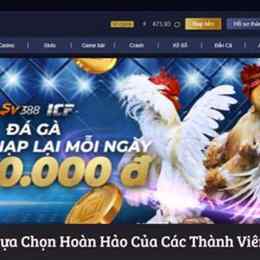 nhà cái đá gà uy tín noci88u.com