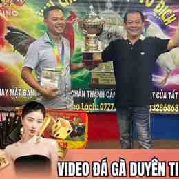 những trận gà đá giải của duyên ti