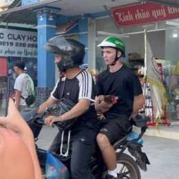 ôm gà đi đá