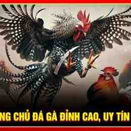 phần mềm đá gà sv388