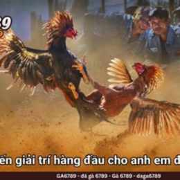 phát lại đá gà c3 hôm nay
