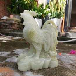 phong thủy gà đá hôm nay